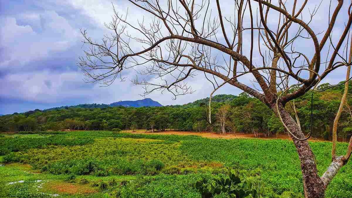 7 Destinations In India More Beautiful Than The European Countryside