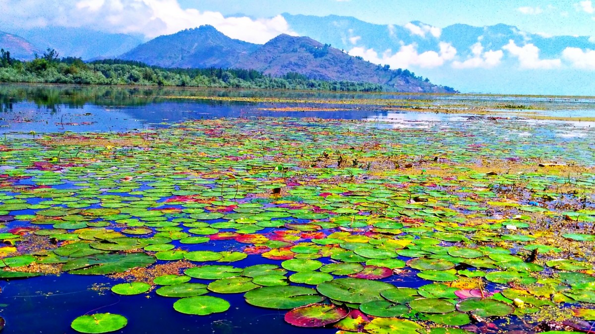 Asia’s Largest Freshwater Lake In Kashmir To Get Non-Motorable Walkway