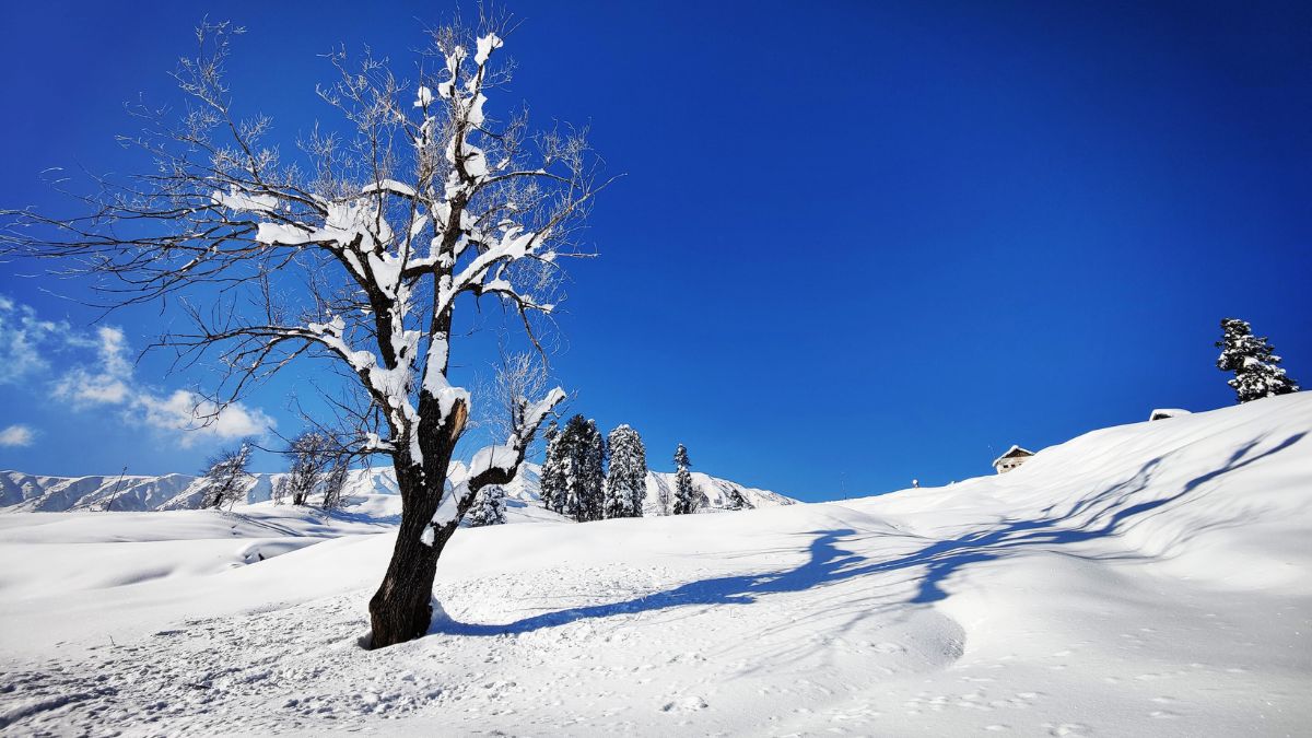 Let It Snow! Gulmarg Gets Season’s 1st Snowfall And It Looks Breathtaking!
