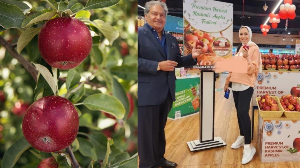 Kashmiri Apples Debut In UAE