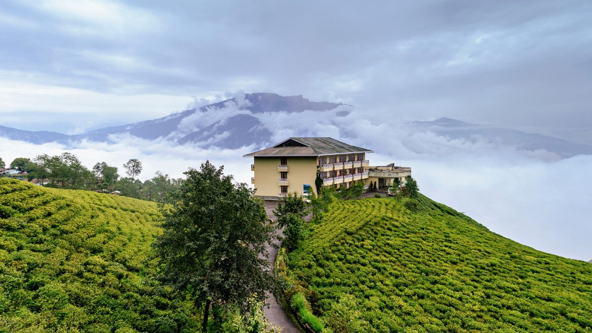 This Is The Only Tea Estate In Sikkim Flanked By Misty Hills And A Dainty Cafe