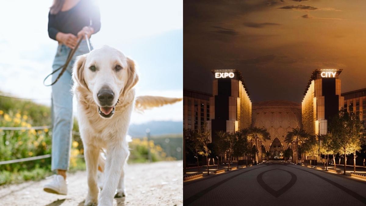 You Can Now Enjoy A Nice Walk With Your Doggos At Expo City Dubai