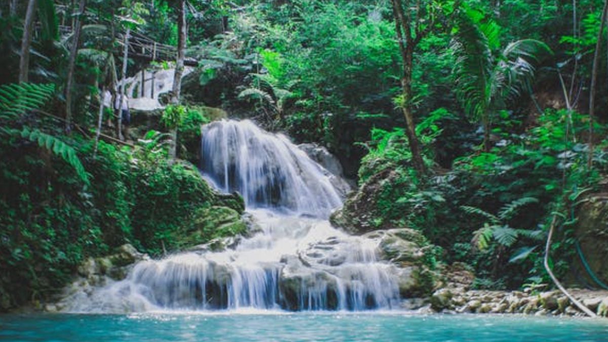 Gujarat Waterfalls