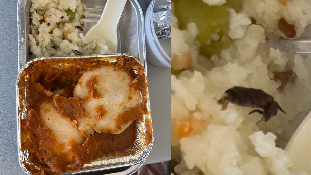 Remember That Cockroach In Vistara Meal? Turns Out It Was Dried Ginger  