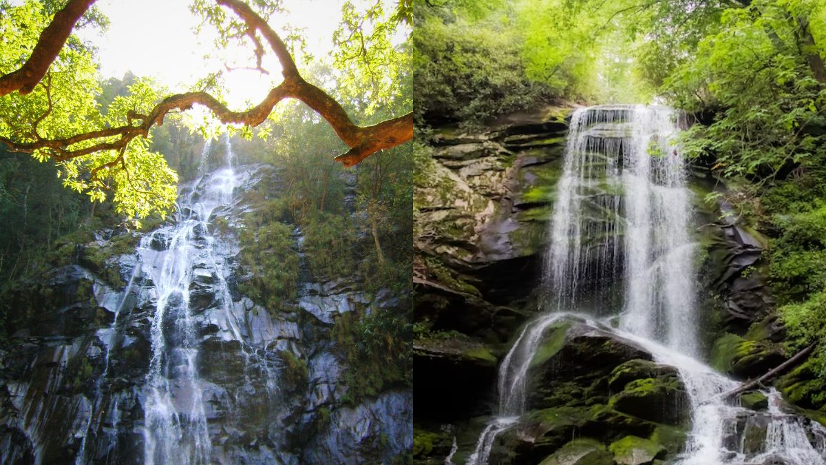 Madhya Pradesh Waterfalls