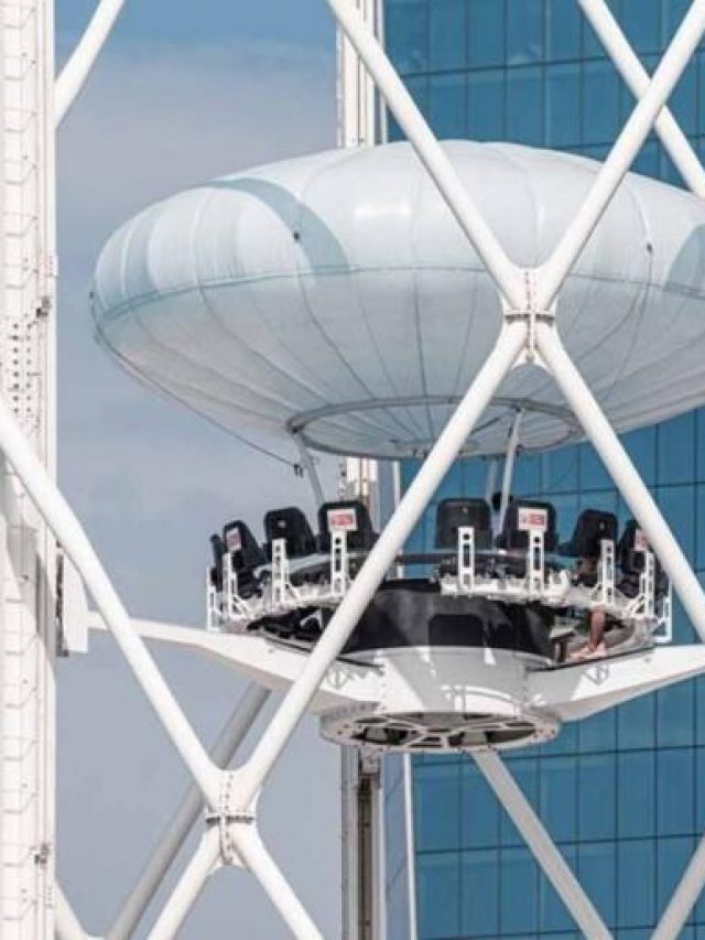 dine in the sky