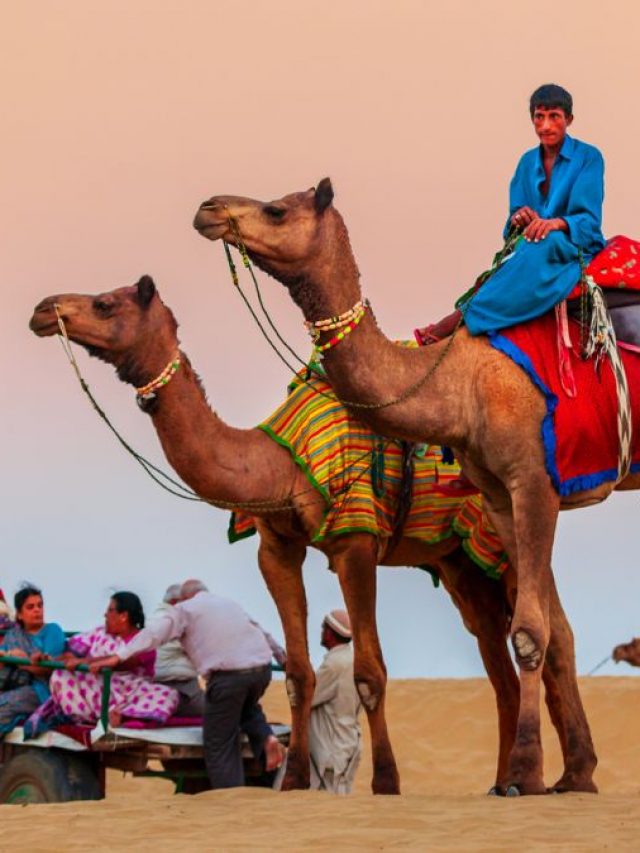Desert Safari In UAE