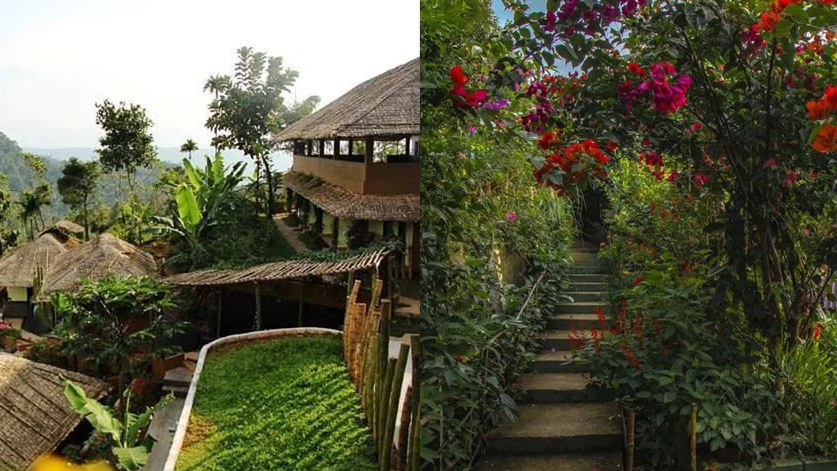 Wrapped In Greens, This Munnar Resort Looks Straight Out Of A Hollywood Movie