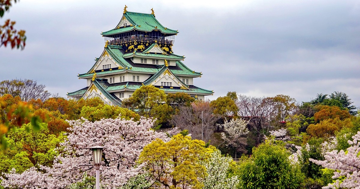 Tick Japan’s Cherry Blossoms Off Your List With This 8-Day SOTC Package That’s ₹2.75 Lakh Per Person