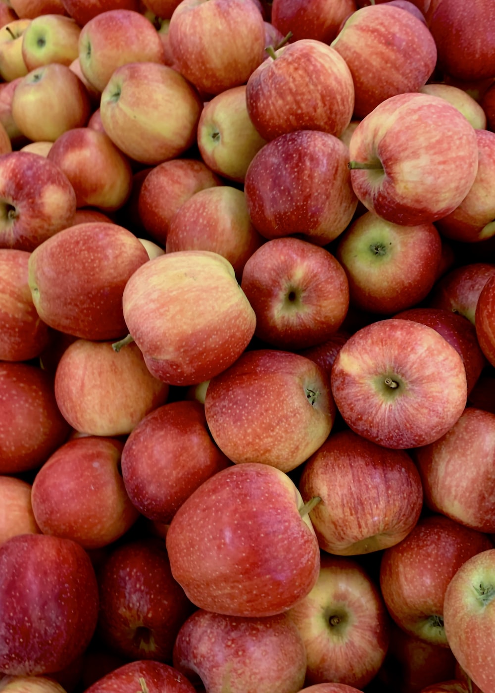 5 Benefits Of Apples You Should Know About