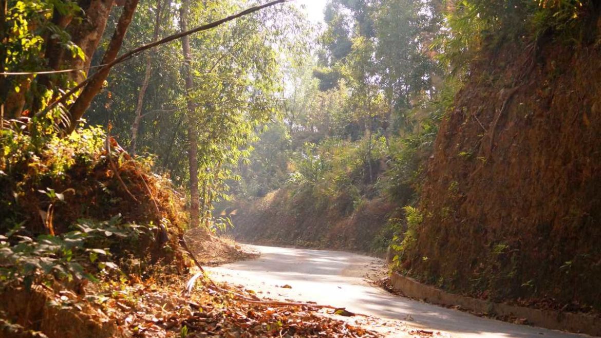 the road to chota mangwa