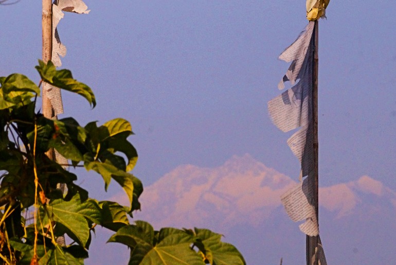 A view of Kanchanjungha from Chota Mangwa