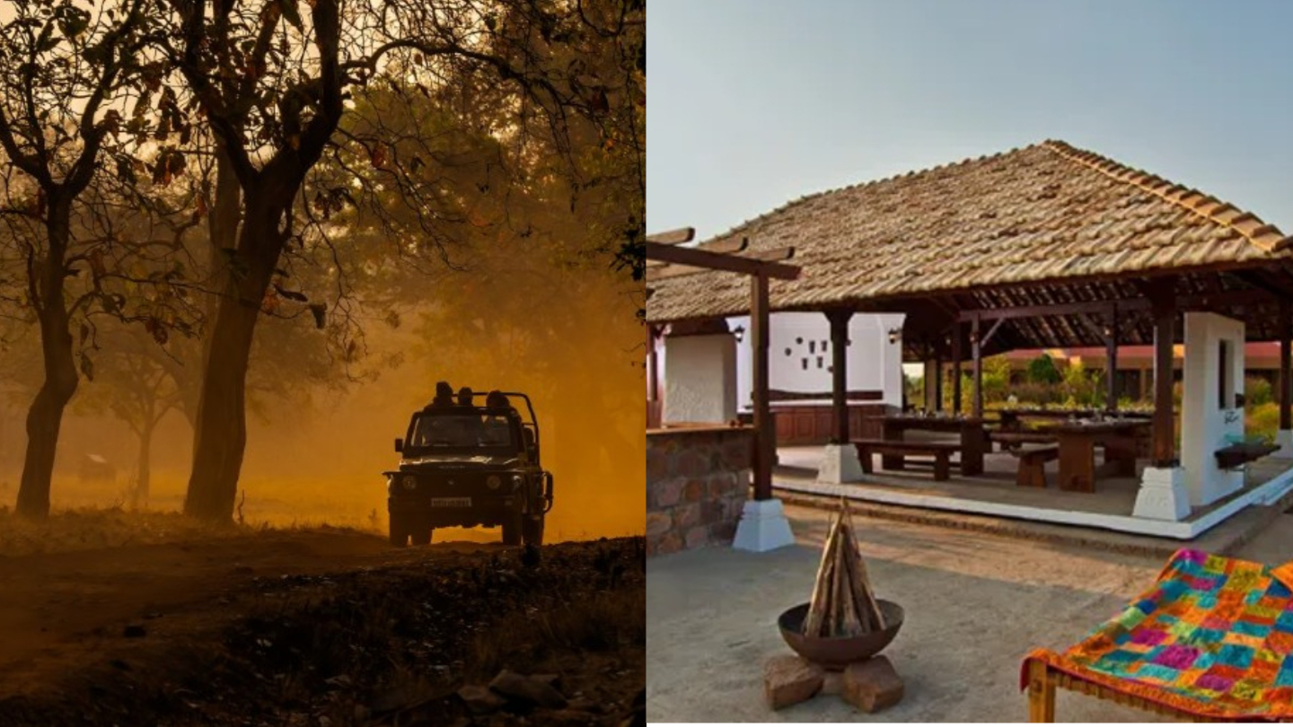 6 Wildlife Resorts To Stay At When Visiting Tadoba National Park In Maharashtra