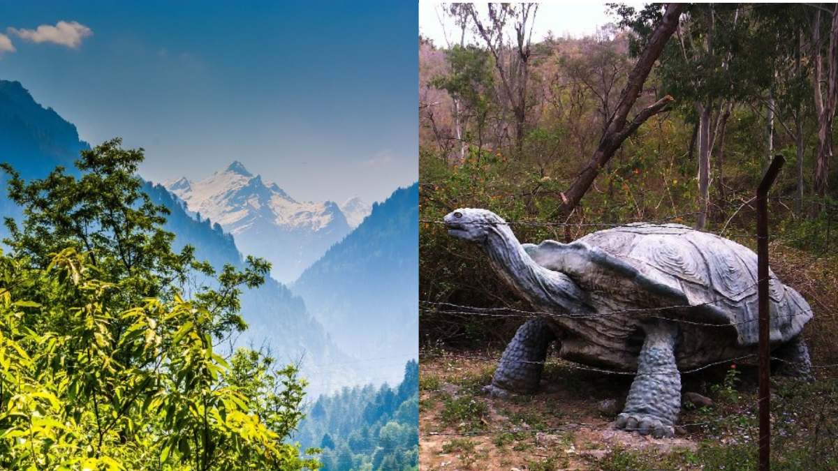 Suketi Fossil Park Himachal Pradesh Collage