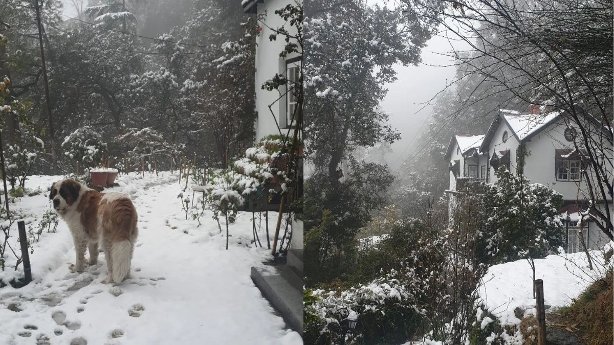 This Shimla Resort Can Be Your Ultimate Escape To Experience What Fairytale Looks Like