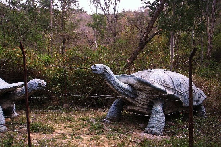 Life size models of extinct land tortoises in Suketi Fossils Park