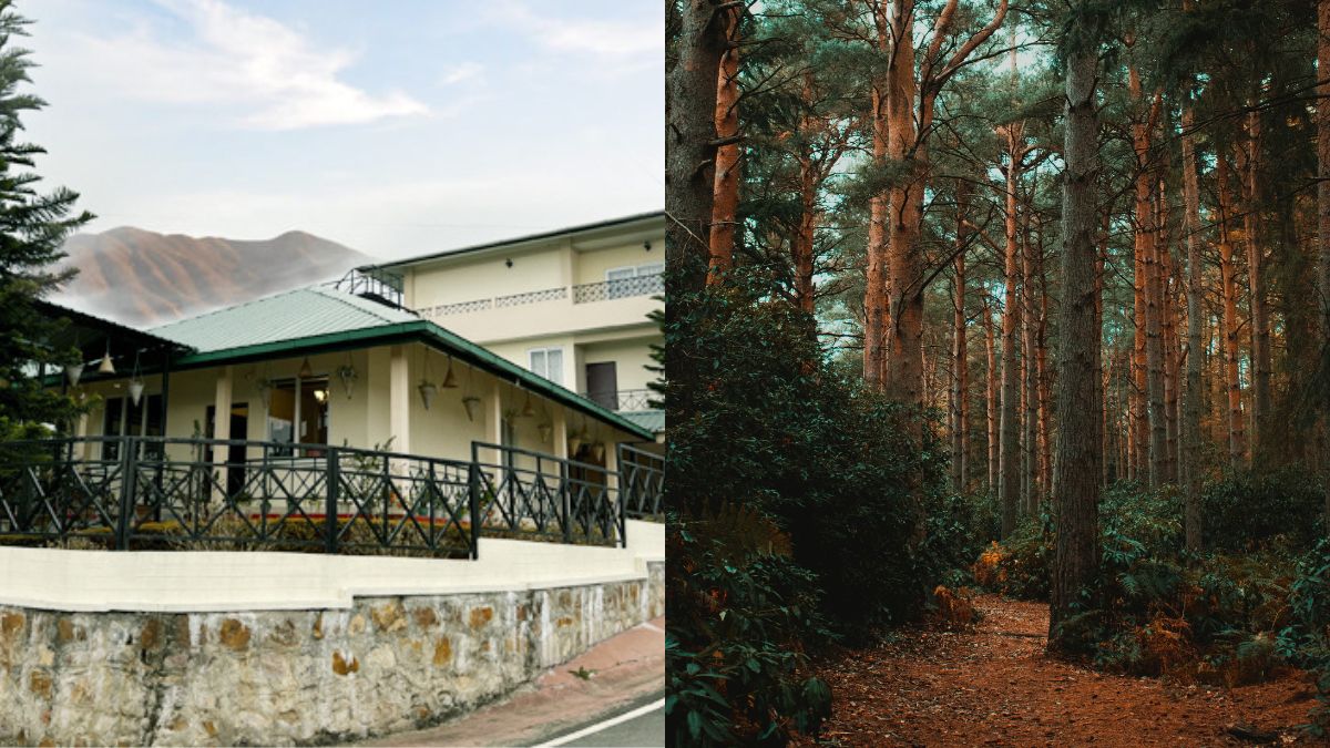 The Windermere Resort In Shillong Overlooks The Luscious Pines & Cherry Blossom Trees During Fall Season