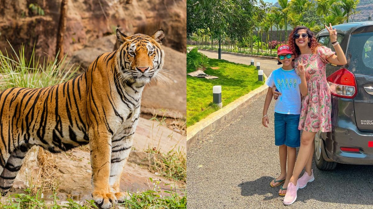 5 Forest Safari Experiences Your Kids Will Absolutely Love