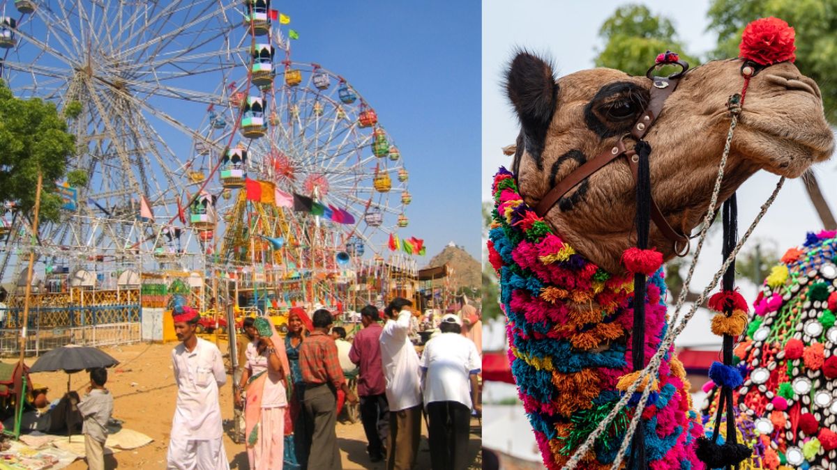 Pushkar Fair: An 8-day Fair Set To Take Place In Rajasthan, Attracting Visitors From All Over The World.