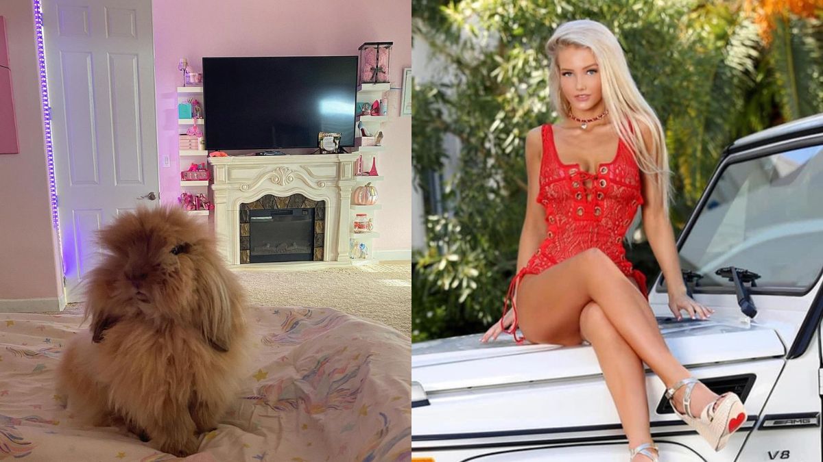 US-Based Millionaire Model Flies 4000 Miles Just To Buy A Bling Collar For Her Dog. Swanky Lifestyle At Its Peak!
