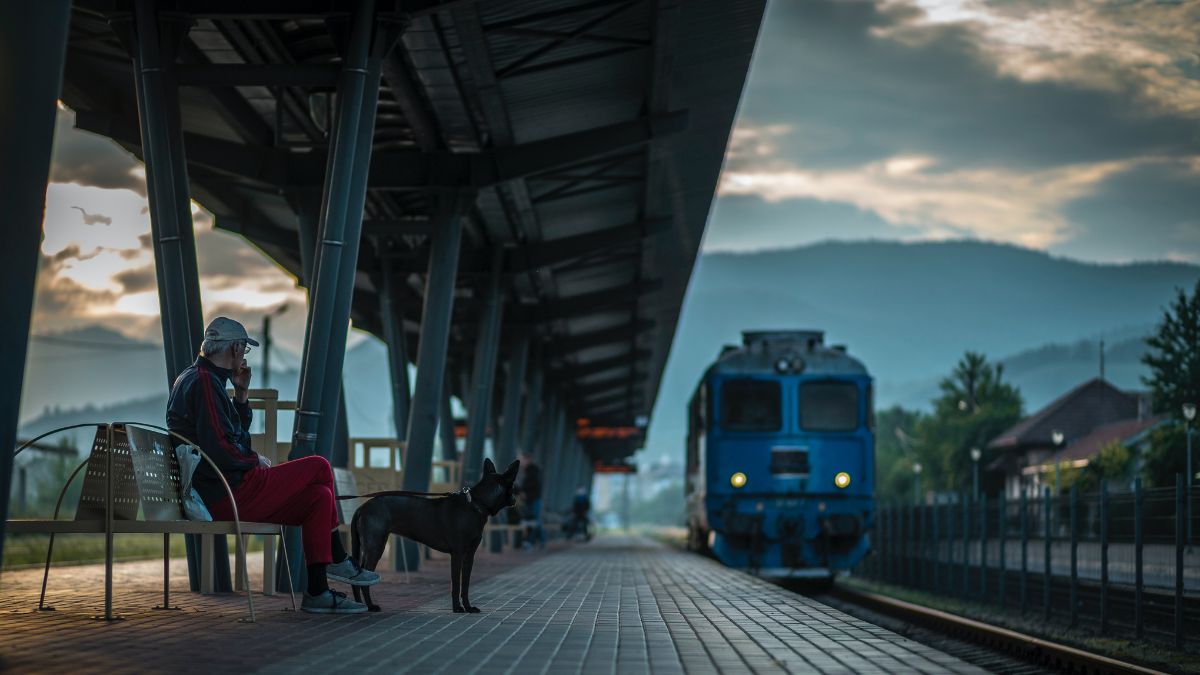 railway pets