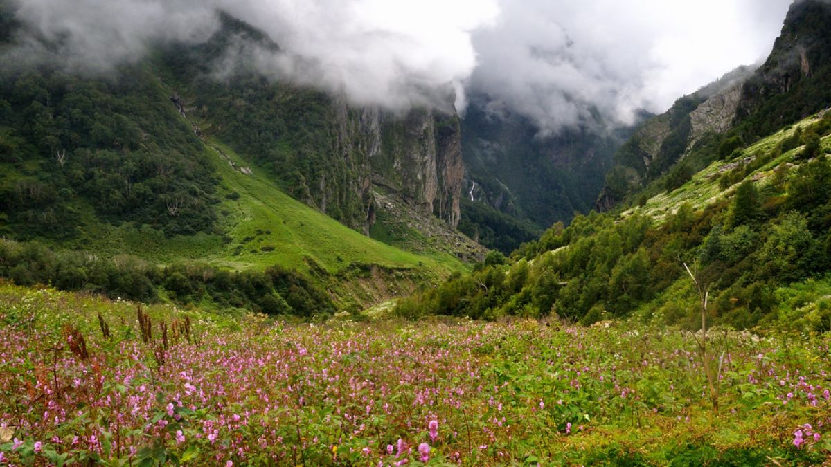 Valley Of Flowers Uttarakhand: Experts Call To Impose Cap On Visitors To The UNESCO Heritage To Conserve Flora