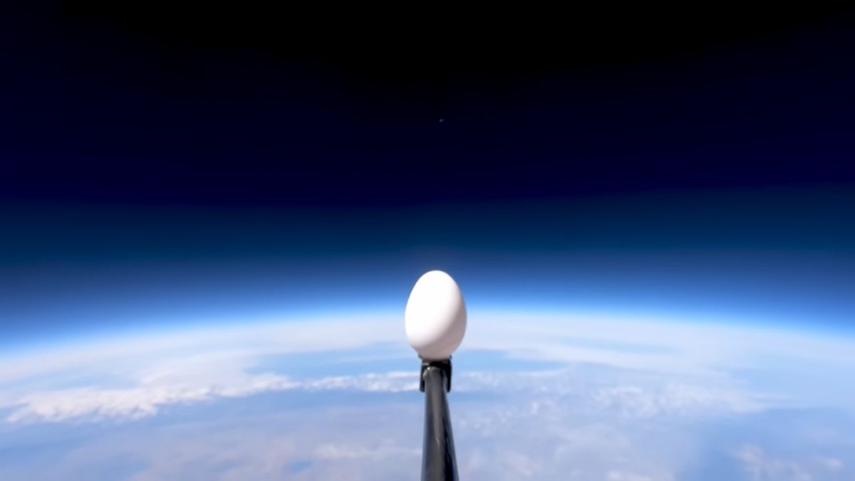 egg in space