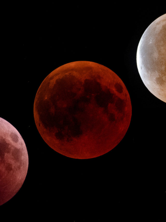 Blood Moon
