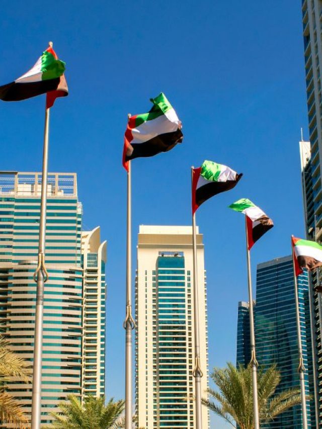 UAE Flag Day