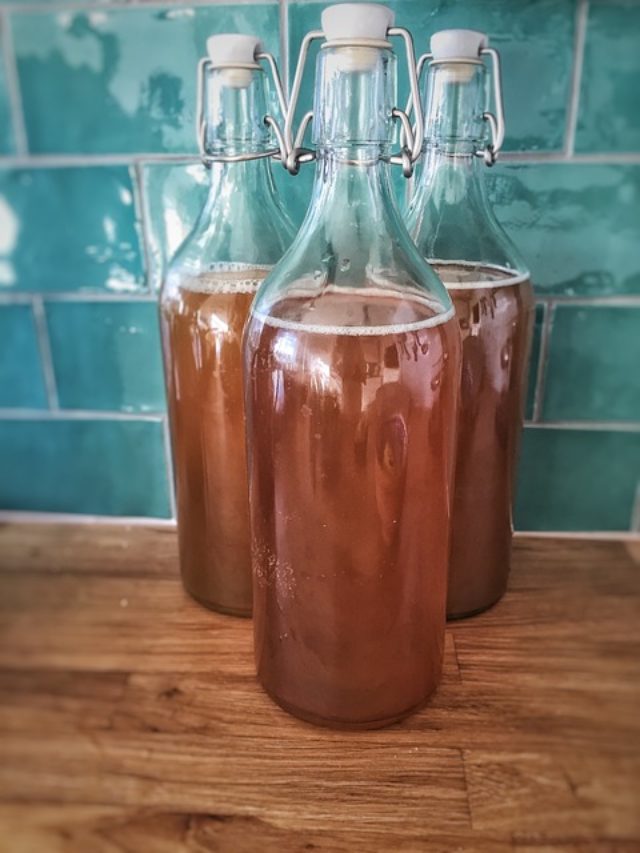 kombucha-gfef7dc110_640