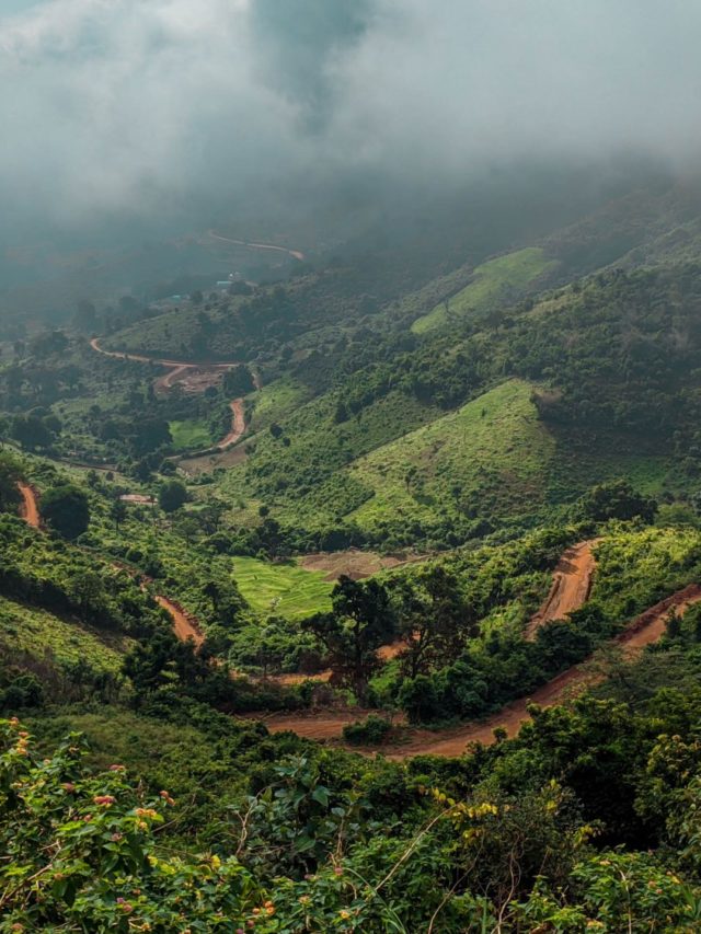 mohan-vamsi-somireddi-ZqudEbF1QwY-unsplash