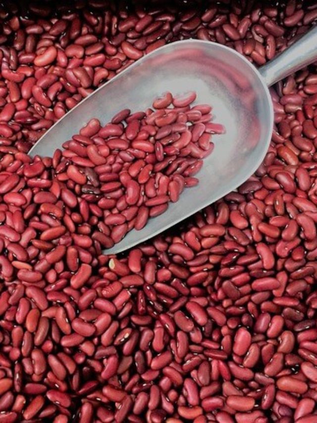 5 Reasons To Add Rajma To Your Diet