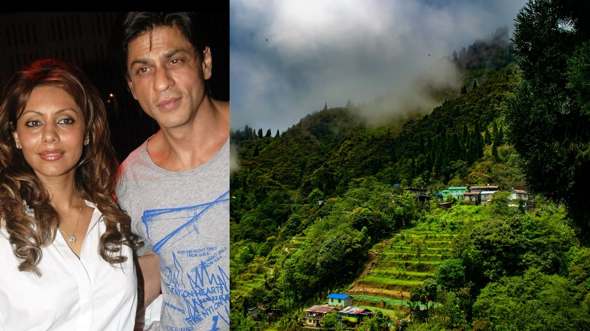 Did You Know Shah Rukh Khan & Gauri Had Their Honeymoon In Darjeeling? Here’s Why Darjeeling Is A Great Honeymoon Destination