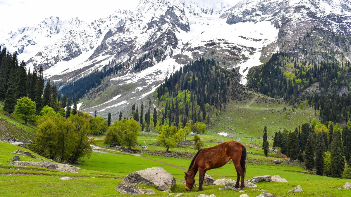 Play In The Snow! IRCTC Has Launched Pocket-Friendly 7D/6N Sonmarg Package Starting At ₹20,030