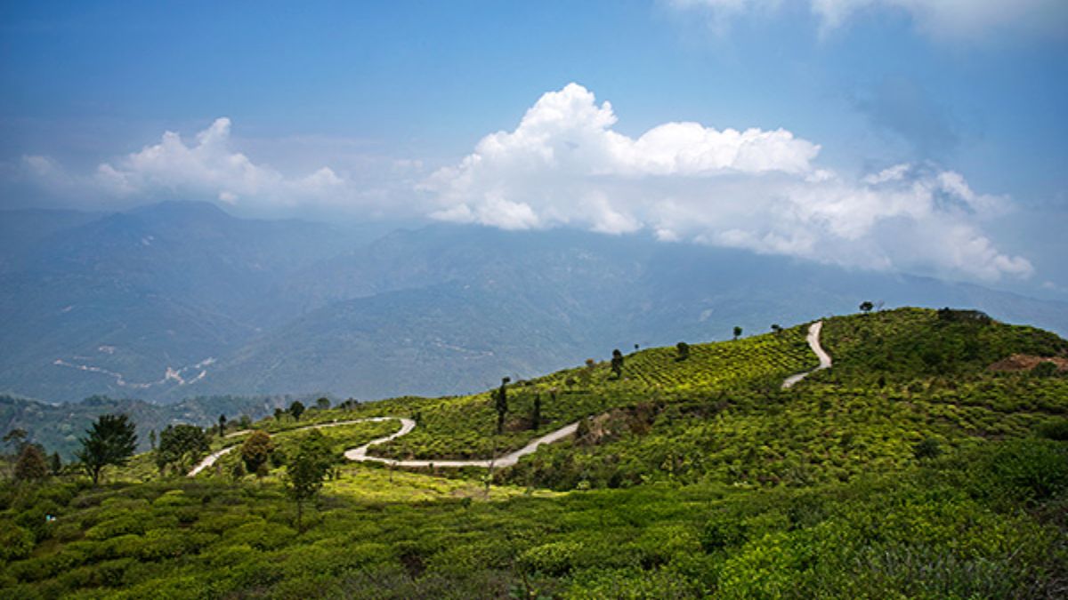 Takdah Near Darjeeling With Lush Tea Estates And Heritage Bungalows Has Been The Shooting Location For Many Bollywood Films