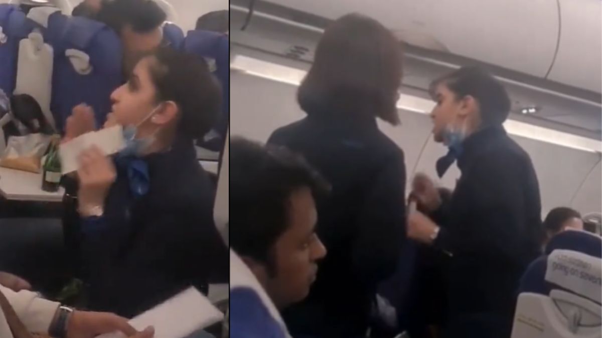 Viral Video: IndiGo Air Hostess Says “I Am Not Your Servant.” As Passenger Fights Over Food Choice 