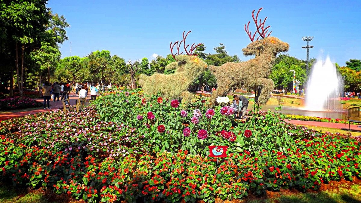 Soak In The Colours Of Over 5 Million Flowers At Nashik Flower Park In Maharashtra