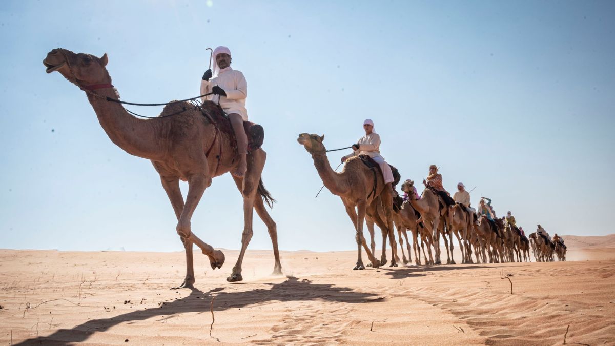 The 9th Edition Of The UAE Camel Trek Will Conclude At Dubai’s Global Village After Crossing 600 Km