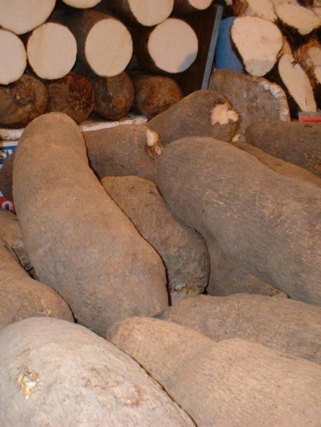 10 Healthy Reasons To Eat Yam