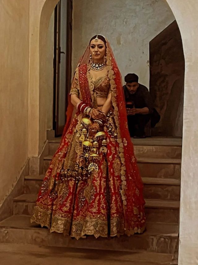 hansika Motwani wedding
