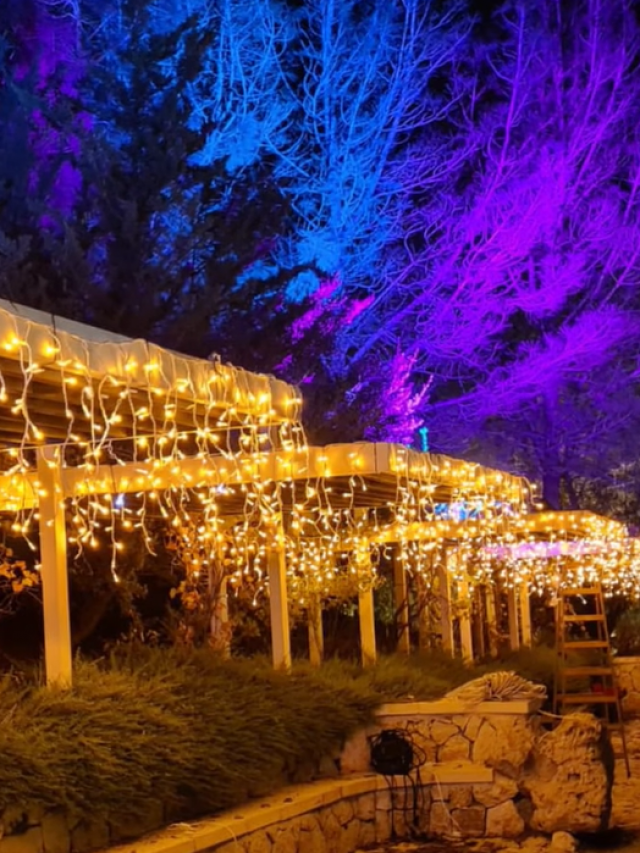 All You Need To Know About The Magical Winter Light Festival Of Jerusalem