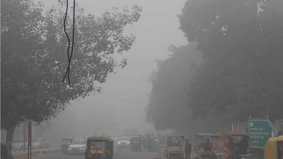 Cold Wave Alert! North India Covered In Dense Fog, Causing Poor Visibility In Amritsar & Bhatinda