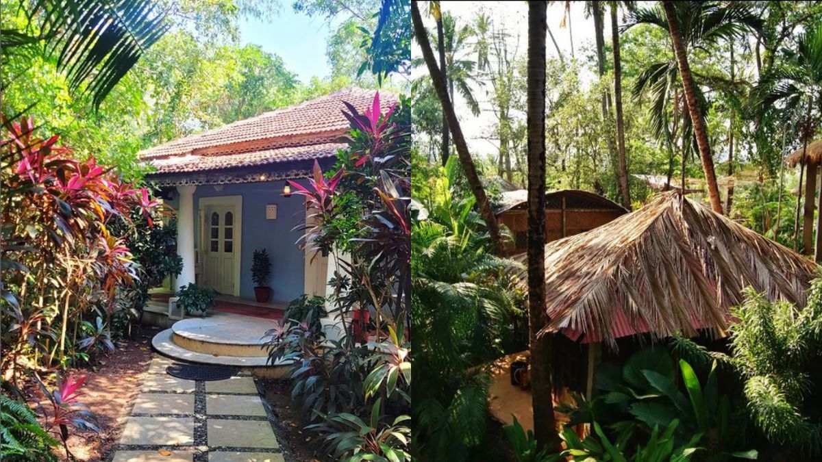 6 Best Forest Resorts In Goa For A Getaway In The Greens 