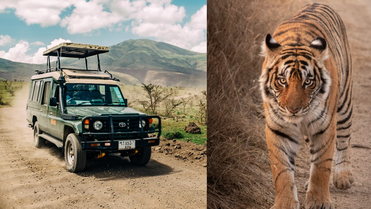 Travelling To Ranthambore National Park? These Are The New Safari Rules You Must Know About