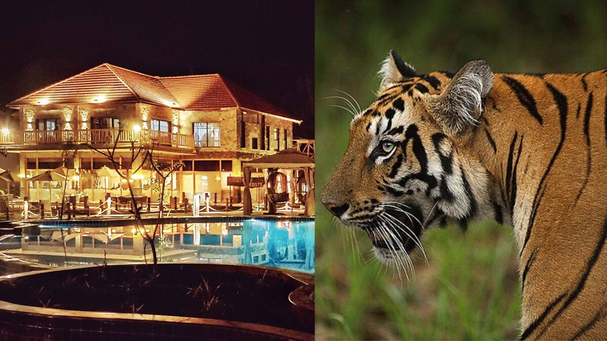 7 Charming Places To Stay At Sundarbans, The Abode Of Bengal Tigers
