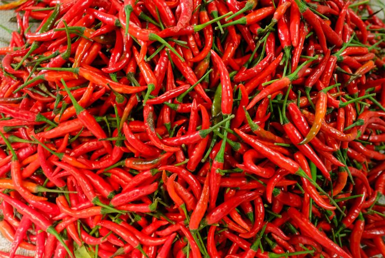 Birds Eye Red Chilli or Dhani Chilli