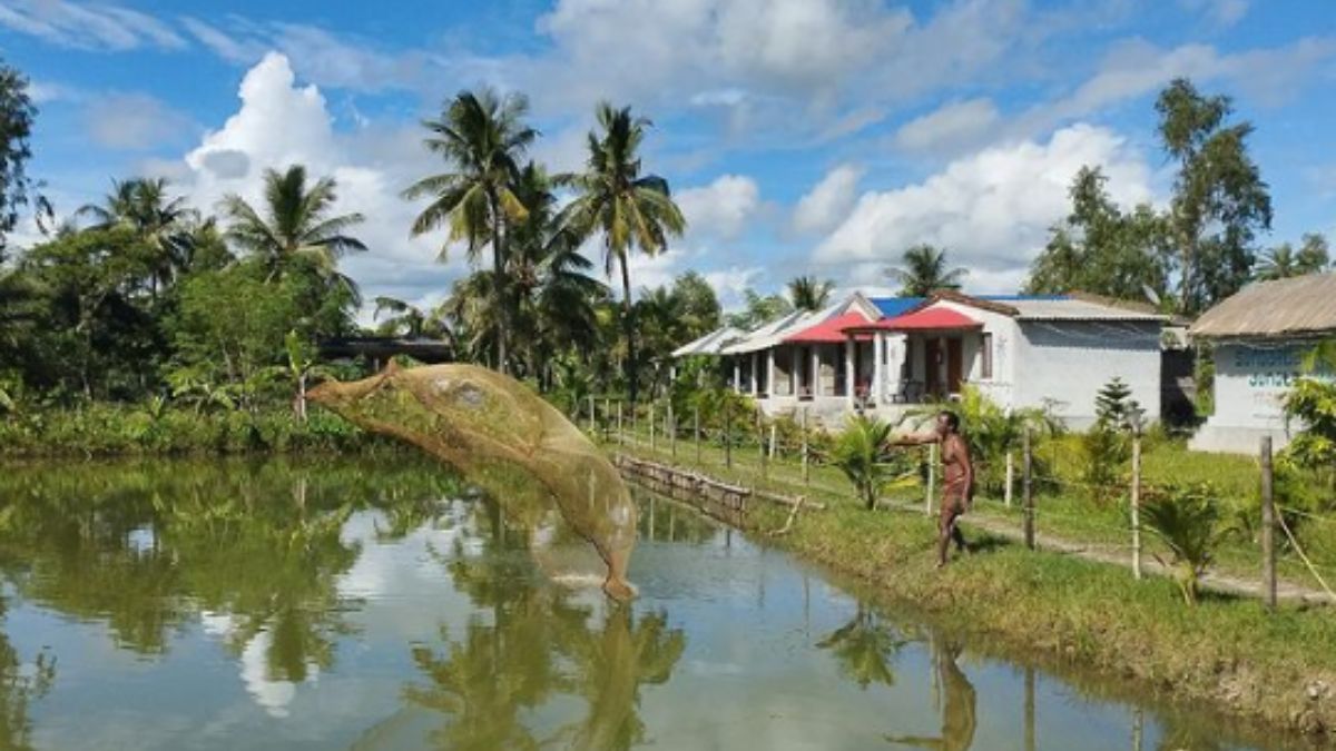 Stay In These Mud Houses By A Fish Pond Near World’s Largest Mangrove Forest, Sundarbans