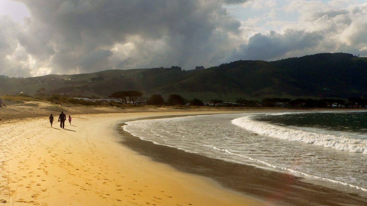 apollo beach