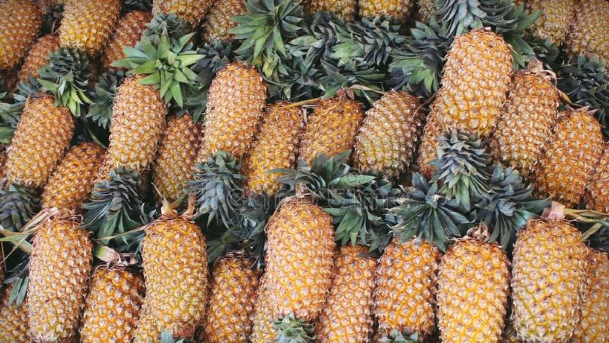 Pineapple Diet Is The Latest Fad And Here’s Everything You Need To Know About It