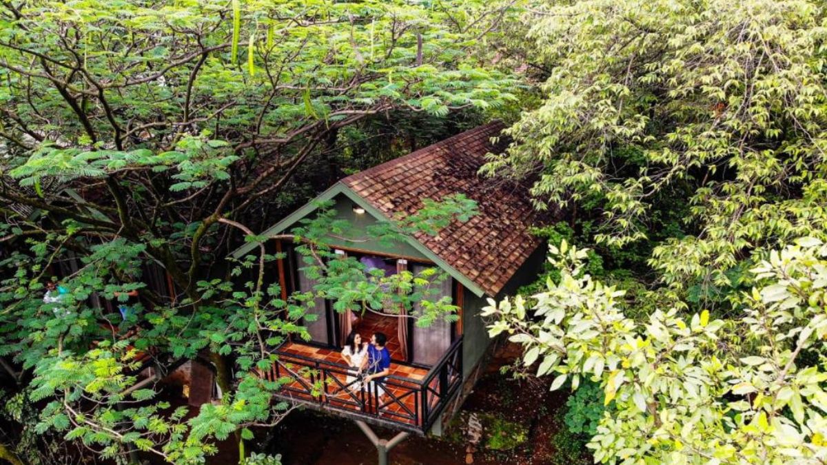 forest resorts india